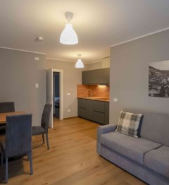 Deluxe two-bedroom apartment