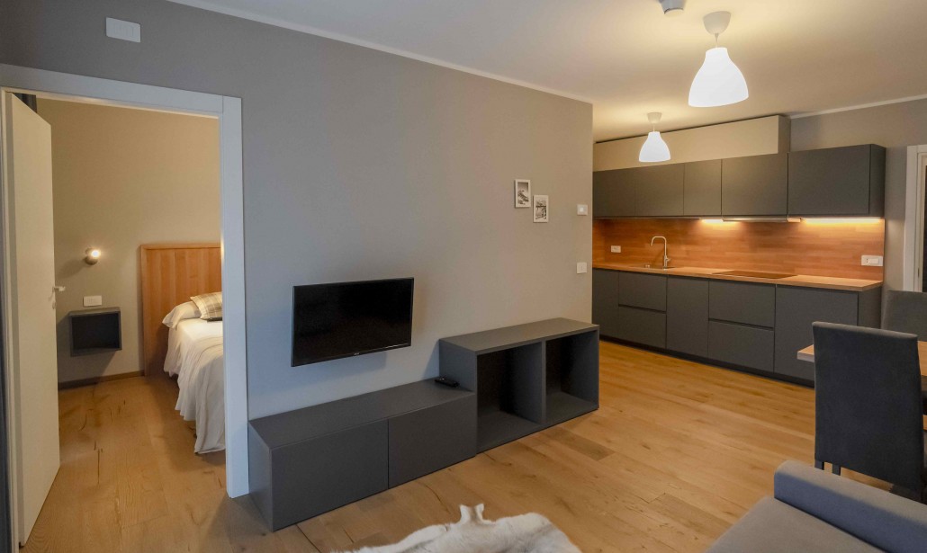 Deluxe one-bedroom apartment