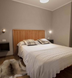 Deluxe one-bedroom apartment