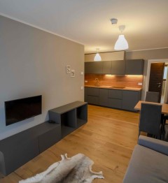 Deluxe one-bedroom apartment